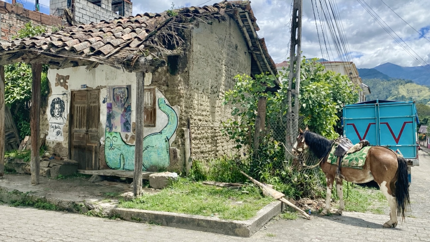 Buying Property in Southern Ecuador:  It’s Not for Everyone.